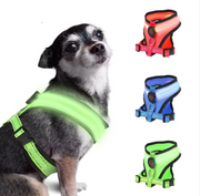 GlowPaws LED Dog Harness product photo 10 at CovePaws