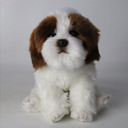 Soft Plush Dog Stuffed Toy product photo 7 at CovePaws