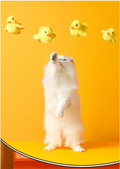 Automatic Moving Duck Cat Toy product photo 3 at CovePaws