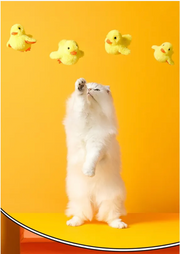 Automatic Moving Duck Cat Toy product photo 3 at CovePaws