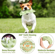 Bite Resistant Dog Chew Ball product photo 4 at CovePaws