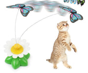 Electric Butterfly and Bird Cat Toy product photo 2 at CovePaws