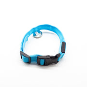 Rechargeable LED Dog Collar