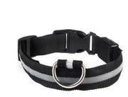 Rechargeable LED Dog Collar
