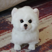 Soft Plush Dog Stuffed Toy product photo 8 at CovePaws
