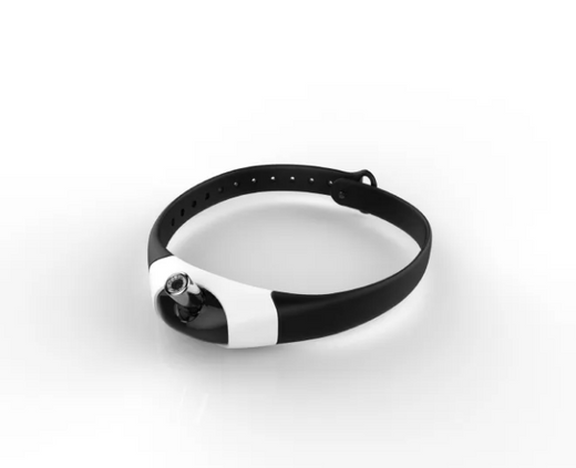 Rechargeable LED Cat Collar Toy product image for cats at CovePaws