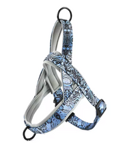 Dog Harness without the Leash