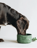 Foldable Dog Travel Bowl product image for dogs at CovePaws