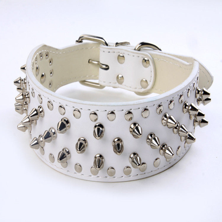 Large Dog Rivet Collar