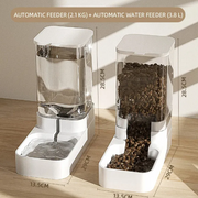 Pet Water Fountain and Food Dispenser