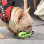 Dog Treat Dispensing Rubber Ball product photo 3 at CovePaws