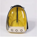 Transparent Cat Backpack and Carrier for Pets