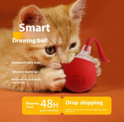 Smart Interactive Rolling Cat Toy Ball
