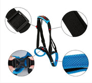 Pet Leg Support Brace