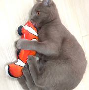 Electric Dancing Fish Cat Toy product photo 4 at CovePaws