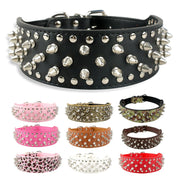 Large Dog Rivet Collar