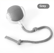 Rolling Fun Cat Toy Ball