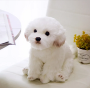 Soft Plush Dog Stuffed Toy product photo 6 at CovePaws