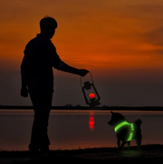 GlowPaws LED Dog Harness product photo 7 at CovePaws