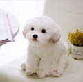 Soft Plush Dog Stuffed Toy product photo 4 at CovePaws