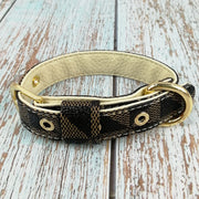 French Bulldog Collar and Leash Set