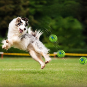 Giggle Sound Dog Chew Ball product photo 10 at CovePaws