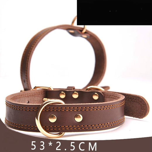 Adjustable Leather Dog Collar product image for dogs at CovePaws
